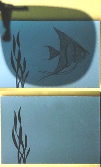 democard_fish_3
